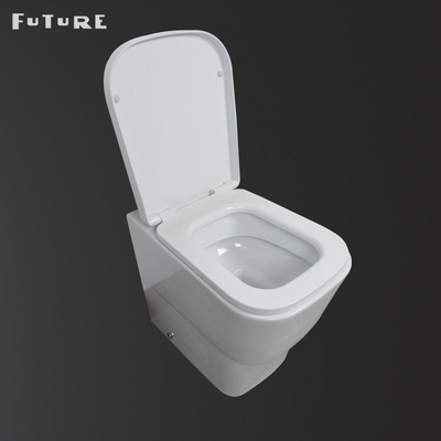 دو دکمه فلاش توالت مدرن بازگشت به دیوار P Trap WC عرض 350 میلی متر