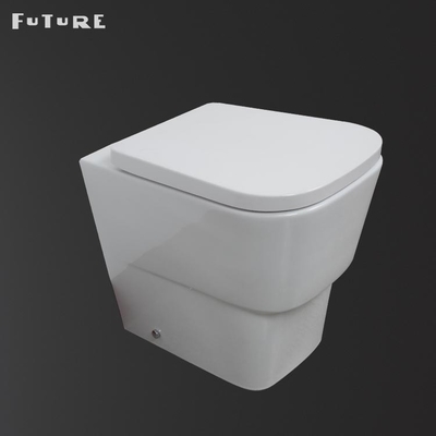 دو دکمه فلاش توالت مدرن بازگشت به دیوار P Trap WC عرض 350 میلی متر