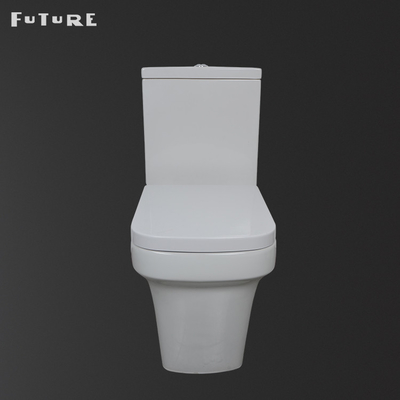 گرانش فلاشینگ نزدیک کمد آب همراه WC