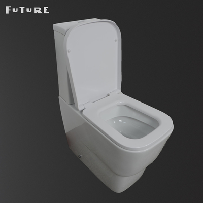 Dual Flush 3L 6L نوع شستشو