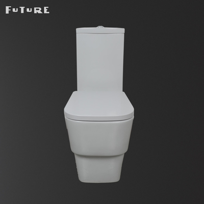 Dual Flush 3L 6L نوع شستشو
