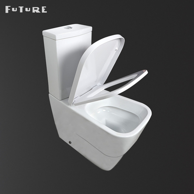Dual Flush 3L 6L نوع شستشو