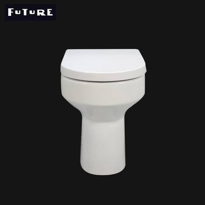 Projection Fully Back to Wall Toilet Washdown Flushing