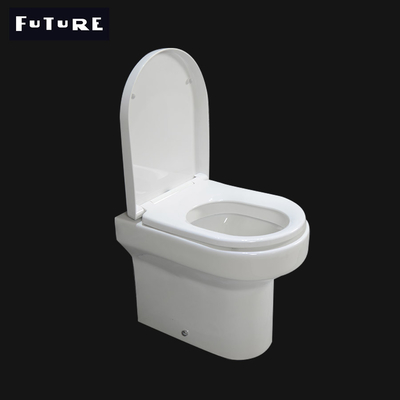 Projection Fully Back to Wall Toilet Washdown Flushing