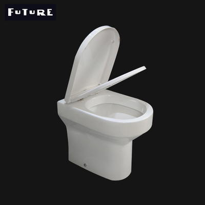 Projection Fully Back to Wall Toilet Washdown Flushing