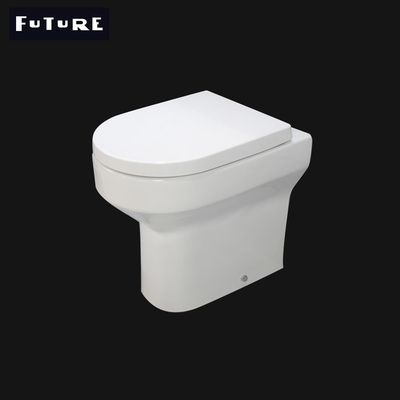 Projection Fully Back to Wall Toilet Washdown Flushing