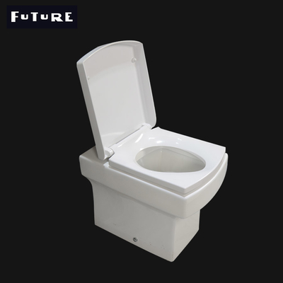 P Trap Bathroom Square Back to Wall Toilet Pan Washdown Flushing