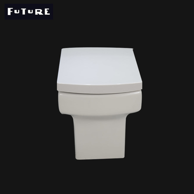 P Trap Bathroom Square Back to Wall Toilet Pan Washdown Flushing