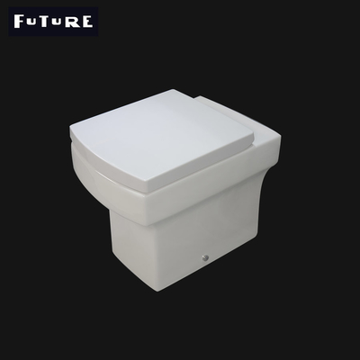 P Trap Bathroom Square Back to Wall Toilet Pan Washdown Flushing