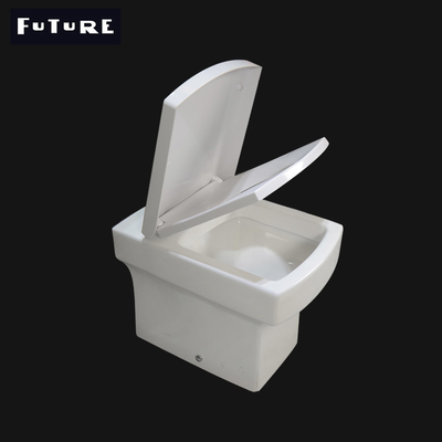 P Trap Bathroom Square Back to Wall Toilet Pan Washdown Flushing