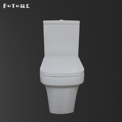 P Trap Mute Flushing Close Coupled حمام توالت کف نصب شده WC ISO9001