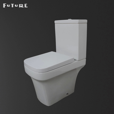 P Trap Mute Flushing Close Coupled حمام توالت کف نصب شده WC ISO9001
