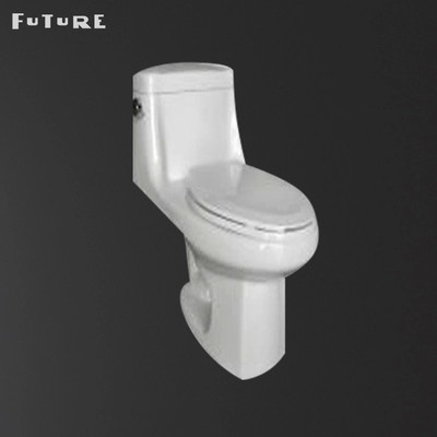 CE Auto Operation Siphonic One Piece Toilet with S Trap Round Dual Flush Toilt