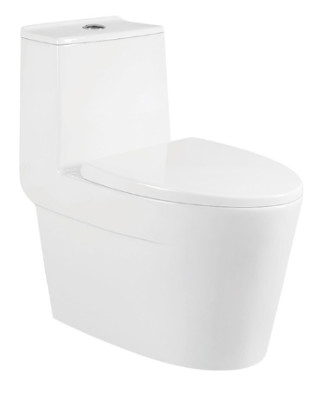 ضدباکتری فیلیپین Watercloset S Trap Toilet Siphonic Wc Single Flush 4L