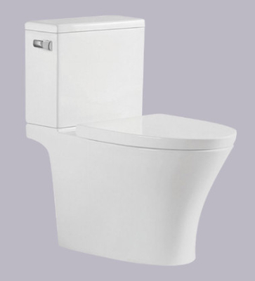 S Trap دو تکه توالت فرنگی فیلیپین دستشویی 695*395*750mm