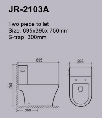 S Trap دو تکه توالت فرنگی فیلیپین دستشویی 695*395*750mm